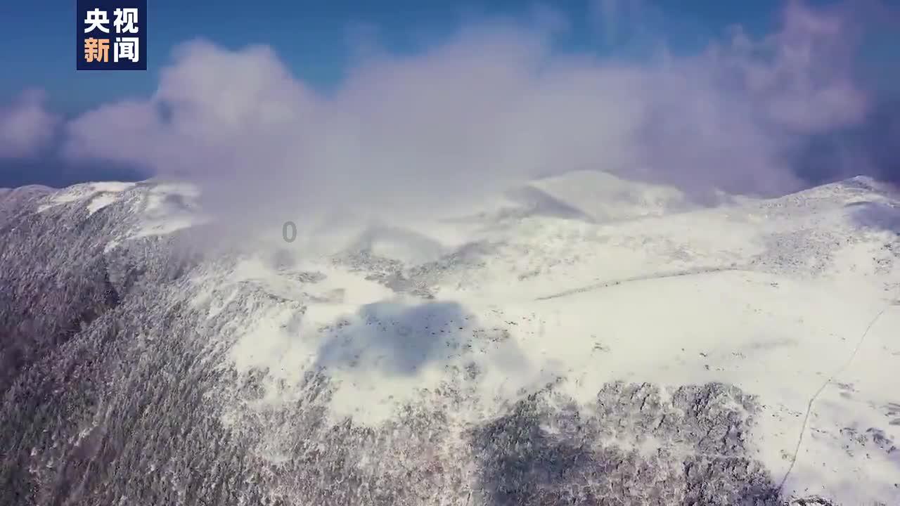 怎么拒绝别人追求你？游戏画面