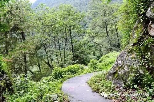 黑中有白,白中有黑