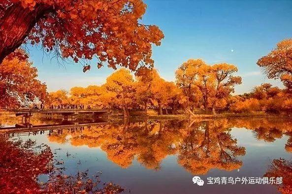 苏州市相城区,陪诊看病,我们愿意为您多走一公里