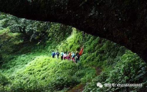 逃出轿车的女孩