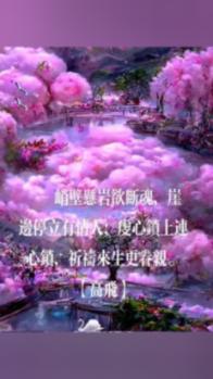 拯救红松鼠